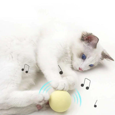 New Gravity Ball Smart Touch Sounding Toys Interactive Pet Toys Squeak Toys Ball Pet Training Toy For Indoor Cats