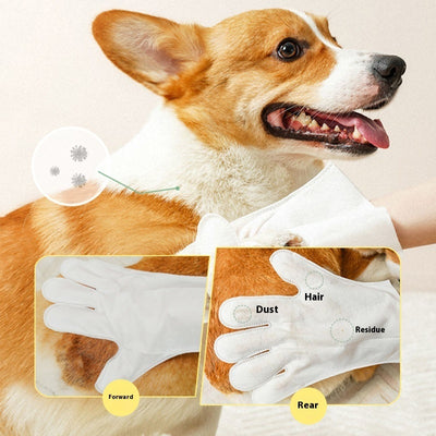 Disposable Bath Supplies Wet Wipes For Pet Disposable Disposable Gloves