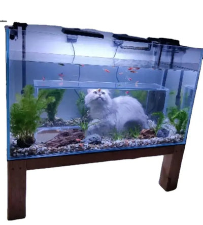 Cat Viewing Tank Super White Glass Customized Fish Tank Special-Shaped Fish Tank.