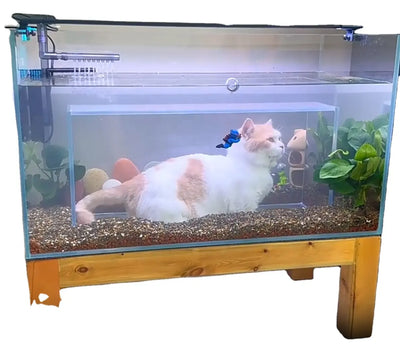 Cat Viewing Tank Super White Glass Customized Fish Tank Special-Shaped Fish Tank.